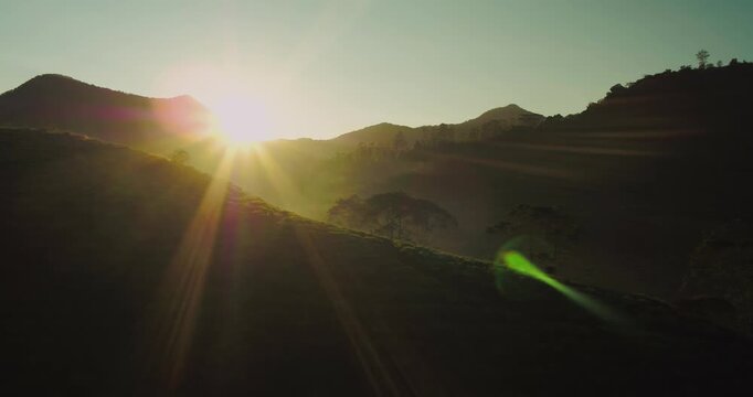 Aerial View of Tea Plantation with Soft Morning Light and Misty Mountain Layers