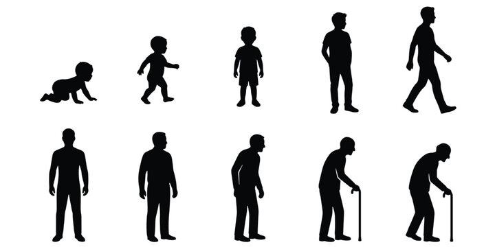 Human life cycle silhouettes, 10 male aging process stages from baby to senior, evolution of man vector set, growth and development icons