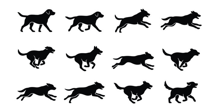 Black dog silhouette animation frames, set of 12 running dog vector icons, labrador retriever movement sequence for motion graphics