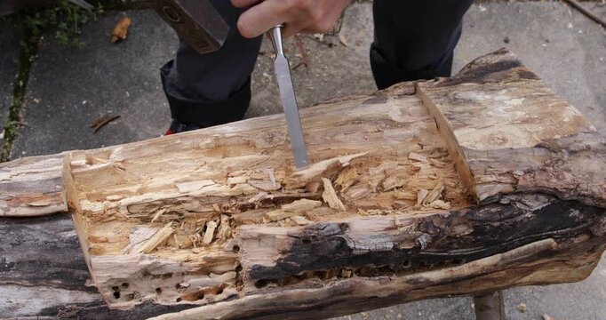 Woodworking carving, crafts-person digging tree trunk using hammer and chisel