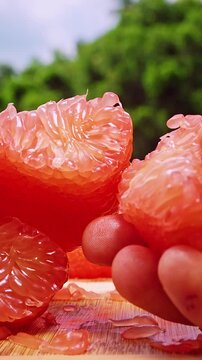 Vertical video. Close Up of Hands Gathering Fresh Red Pomelo Segments on Wooden Board with Juicy Pieces and Natural Light in Tropical Environment, Fresh Organic Food