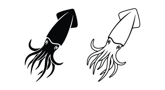 Elegant Squid Designs - Minimalist Art Prints Vector