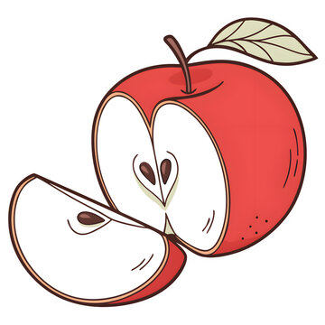 Red apple illustration with a slice and seeds, hand drawn vector style isolated on white background