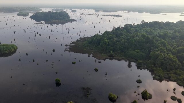 Aerial perspective reveals flooded wetland dotted with many small islands