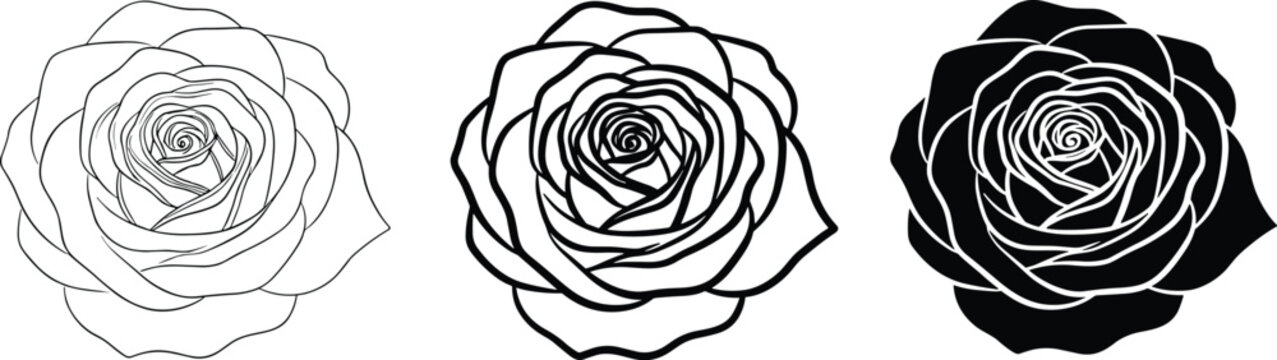 Set of rose flower outline vector illustrations, black and white floral line art collection isolated on clean background
