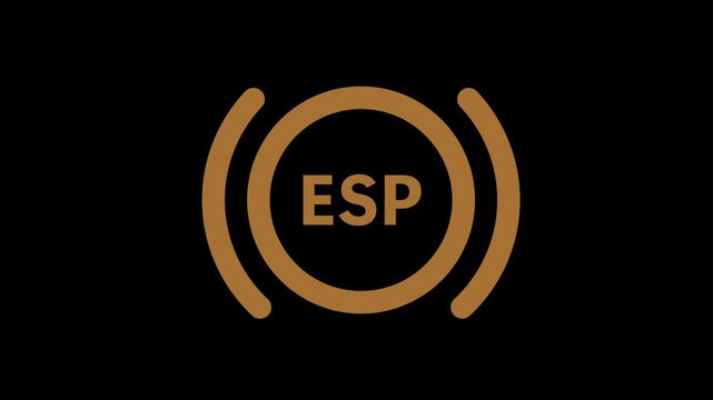 ESP warning light blinking animation. Electronic Stability Program sign.