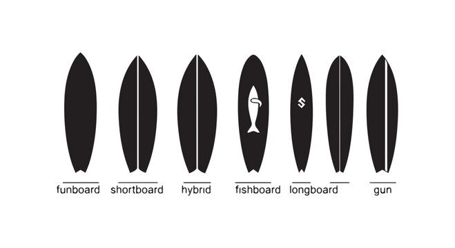 Surfboard types set including funboard shortboard hybrid fishboard longboard and gun silhouettes for surfing enthusiasts.