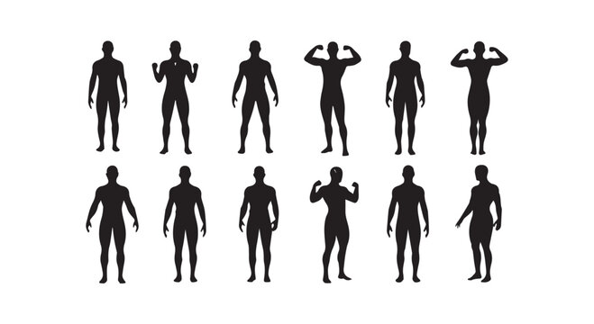 Collection of diverse male and female body silhouettes, showing different body types and poses, human figures, vector graphic.