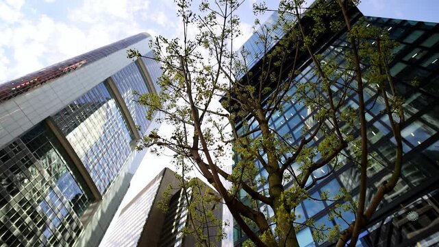 modern frankfurt am main germany in spring 4k video