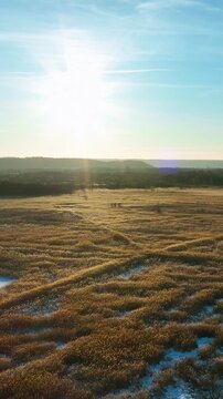 A vertical drone shot capturing a vast golden field with patches of snow during a bright winter sunset. Perfect for social media stories and nature documentaries.