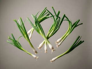 Fototapeta premium Fresh green onions floating against a neutral background, showcasing their vibrant green tops and white bulbs, ideal for culinary and food-related imagery