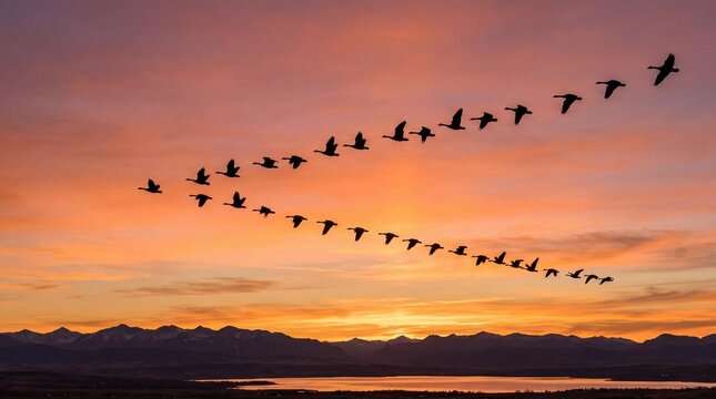 Migrating flock of birds flying in a perfect V-formation silhouette against a dramatic orange and purple sunset sky over a mountain range and lake, symbolizing leadership and teamwork