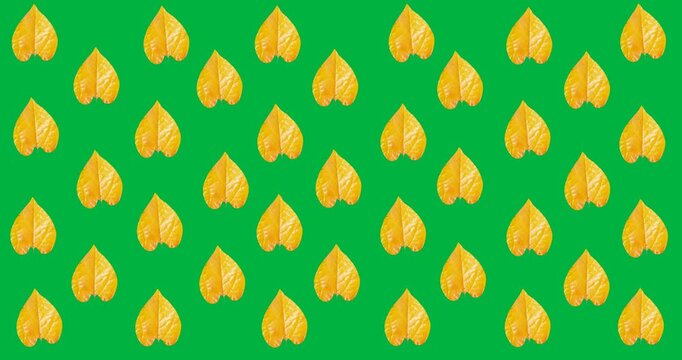 Digital animation of multiple yellow autumn leaves in seamless pattern against black background