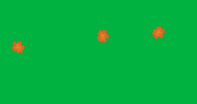 Digital animation of multiple autumn maple leaves floating against black background