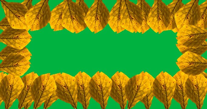 Digital animation of multiple yellow autumn leaves forming a frame against black background