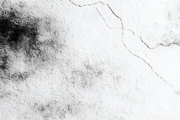 Obraz premium Grungy cracked white wall texture with dark mold and distressed surface.