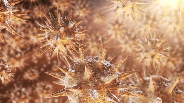 Air pollution concept with particulate matter PM2.5 and virus particles