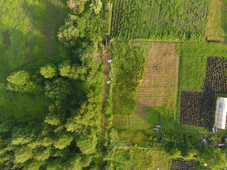 Aerial view of cultivated farmland with trees and green fields © KOSHKAROV SERGEI