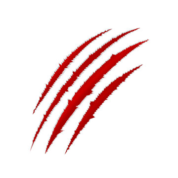 Red claw scratch mark with torn edges. Wild animal slash trace showing sharp nail damage. Design element for horror, fantasy, mystery, Halloween. Realistic vector illustration.