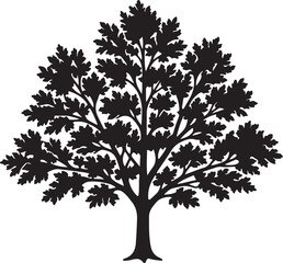 Fototapeta premium Maple Tree Silhouette