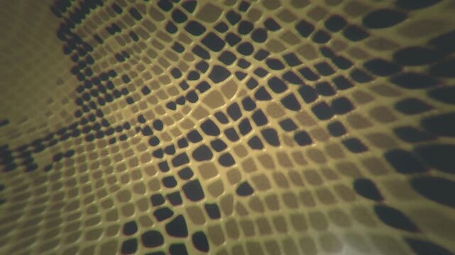 close-up of snake skin texture background