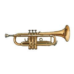 Obraz premium A shiny brass trumpet isolated on a clean white background representing a musical instrument used in jazz and orchestra bands