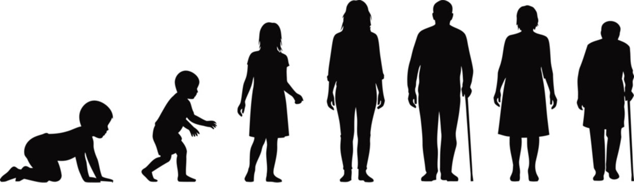Human development stages a silhouette illustration of life's journey
