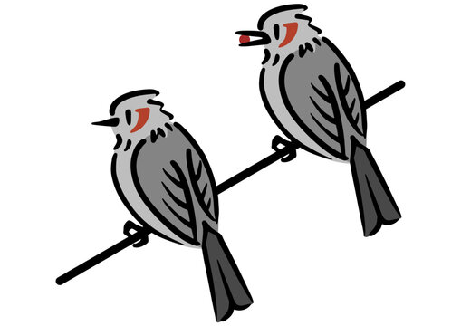 電線に止まるヒヨドリ。鳥のイラスト。アイソメトリック図。