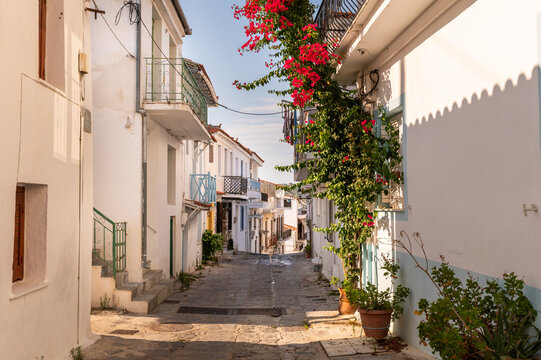 A narrow alley at the town of Chora in the Greek island  of Skiathos in the Aegean Sea.