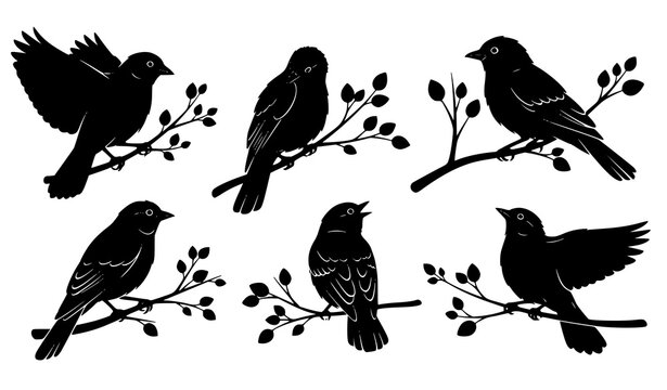 Siluetas aves ramas vector colecci&oacute;n naturaleza