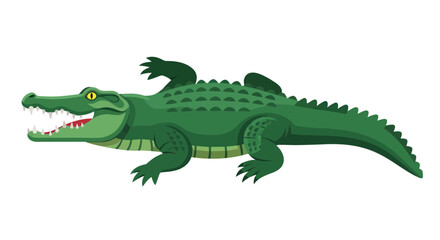 Fototapeta premium Green Alligator Cartoon Illustration, Wildlife Reptile, Open Mouth, Sharp Teeth, White Background