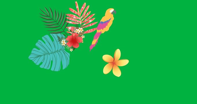 Digital animation of macaw bird, flowers and leaves icons against black background
