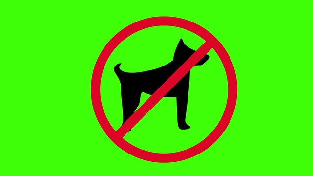 Animated Dog Silhouette for Pet Care and Animal Themed Motion Design Loop on Alpha Channel