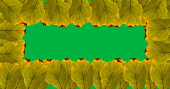 Digital animation of multiple yellow autumn leaves forming a frame against black background