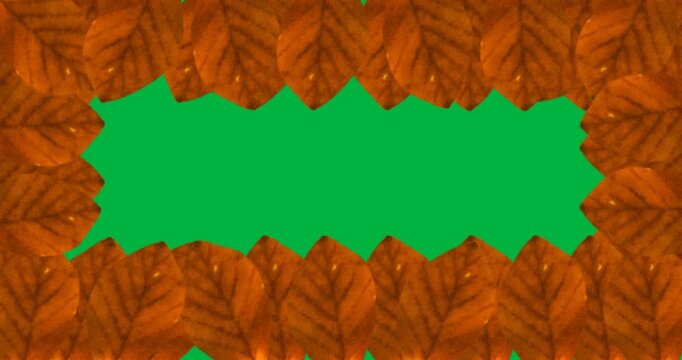 Digital animation of multiple red autumn leaves forming a frame against black background