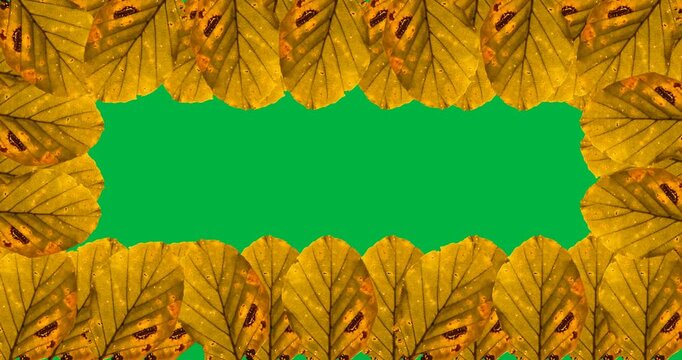Digital animation of multiple yellow autumn leaves forming a frame against black background