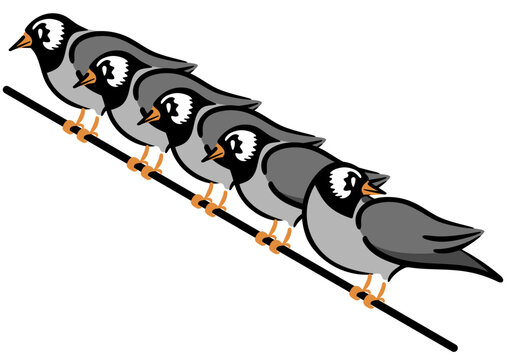 ムクドリの大群。害鳥のイラスト。アイソメトリック図。