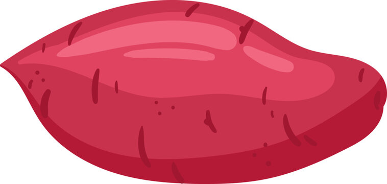 Red sweet potato tuber on white background, representing healthy eating