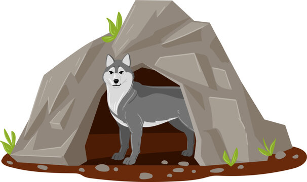 Wolf like animal finding shelter in a natural den