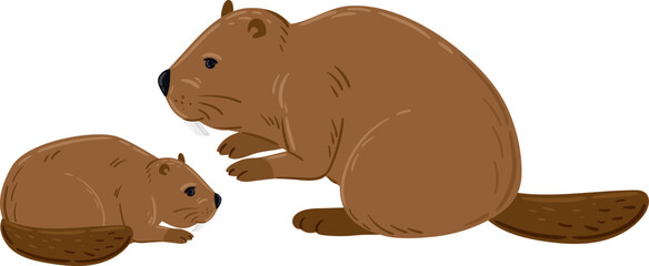 Two beavers, an adult and a kit, showing wildlife family concept © WinWin