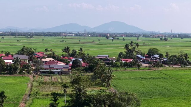 Aerial drone view of Penaga village and surrounding rice fields