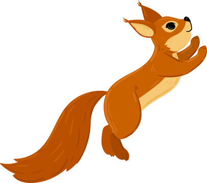 Squirrel illustration jumping or reaching on a white background, looking up