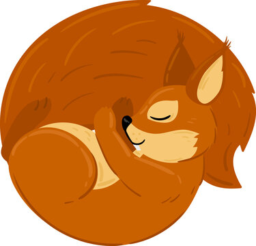Cartoon squirrel curled up and sleeping, depicting autumn and comfort