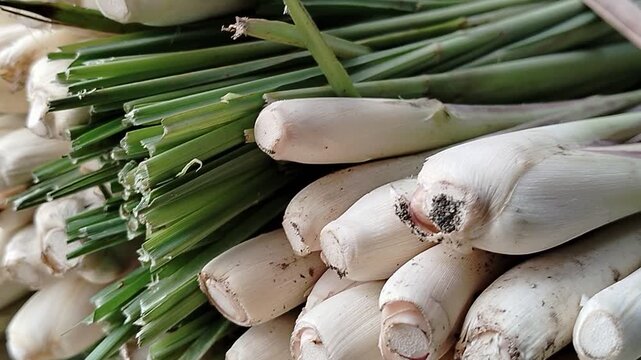 Bundle of fresh lemongrass (Cymbopogon citratus) displayed for sale, aromatic herb with culinary and medicinal uses.
