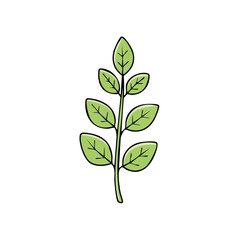Fototapeta premium Hand Drawn Green Leafy Branch Simple Botanical Illustration