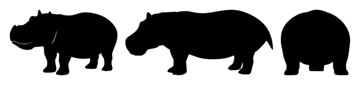 Hippo silhouette set with bold black line art on simple background featuring wildlife, animal, illustration with vector and graphic