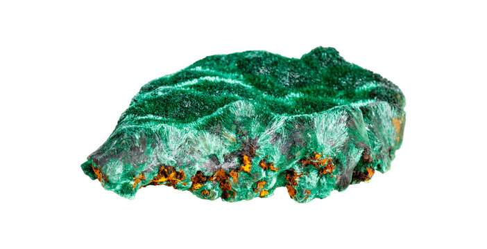 Vibrant green malachite crystal specimen with rich banding patterns isolated on white background showcasing natural mineral formation and crystalline texture