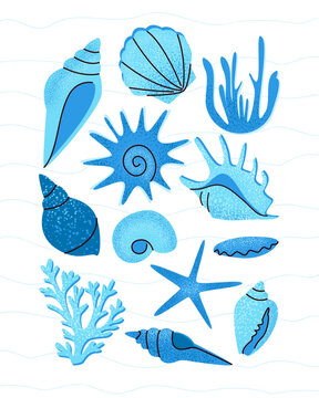 Hand drawn sea shells, starfish and seaweeds. Summer blue poster. Marine vector illustration with tity wawes.