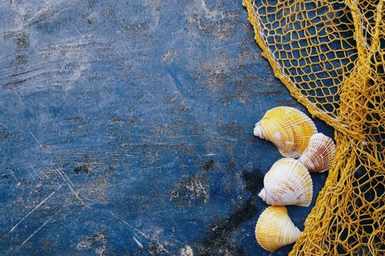 Fishing Nets Spread on Dock with Shells in Tranquil Marine Setting