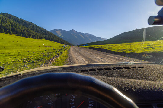 Horses and cattle grazing on grassy hillside in Kyrgyzstan, driver view from behind steering wheel.